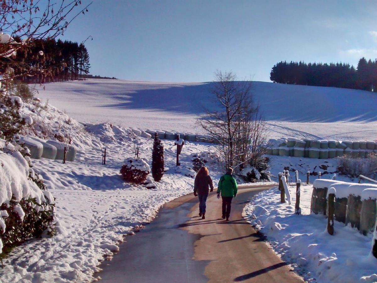 Waldhotel Einstein Kirchhundem Zewnętrze zdjęcie