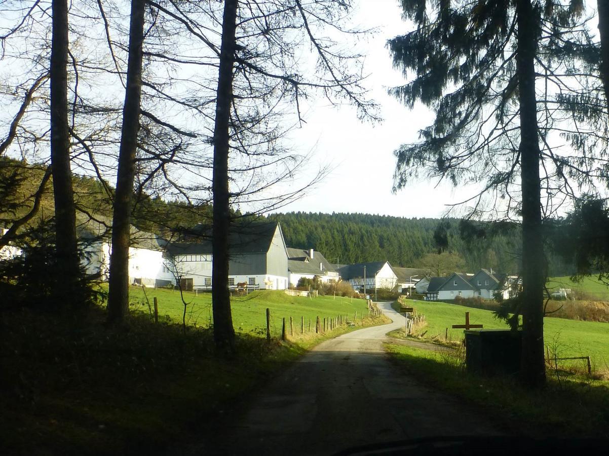 Waldhotel Einstein Kirchhundem Zewnętrze zdjęcie