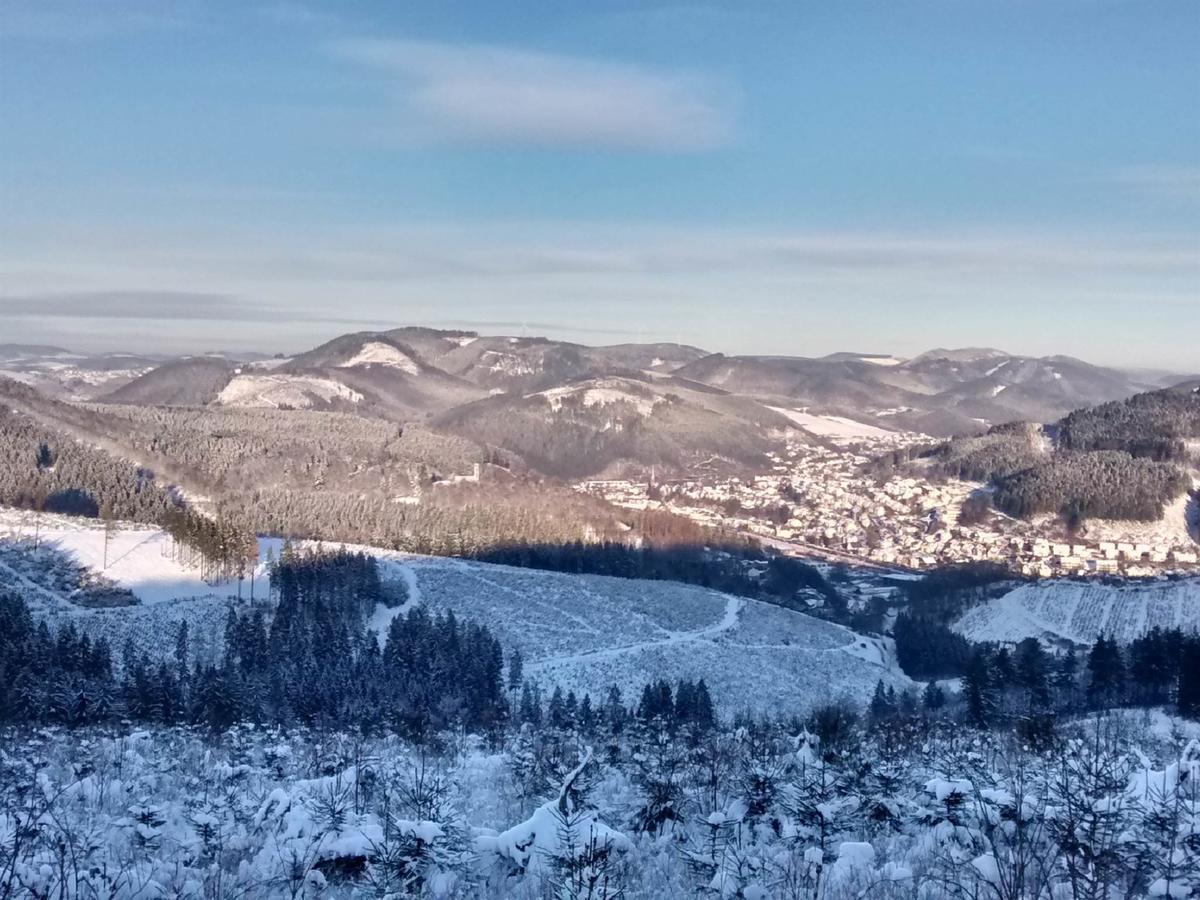 Waldhotel Einstein Kirchhundem Zewnętrze zdjęcie