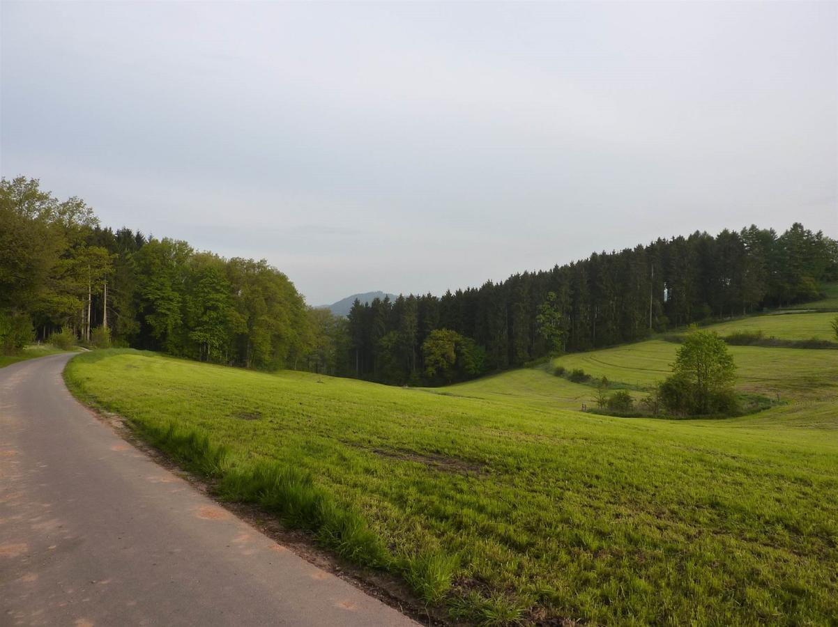 Waldhotel Einstein Kirchhundem Zewnętrze zdjęcie